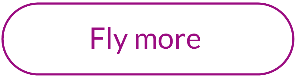 flymore.png
